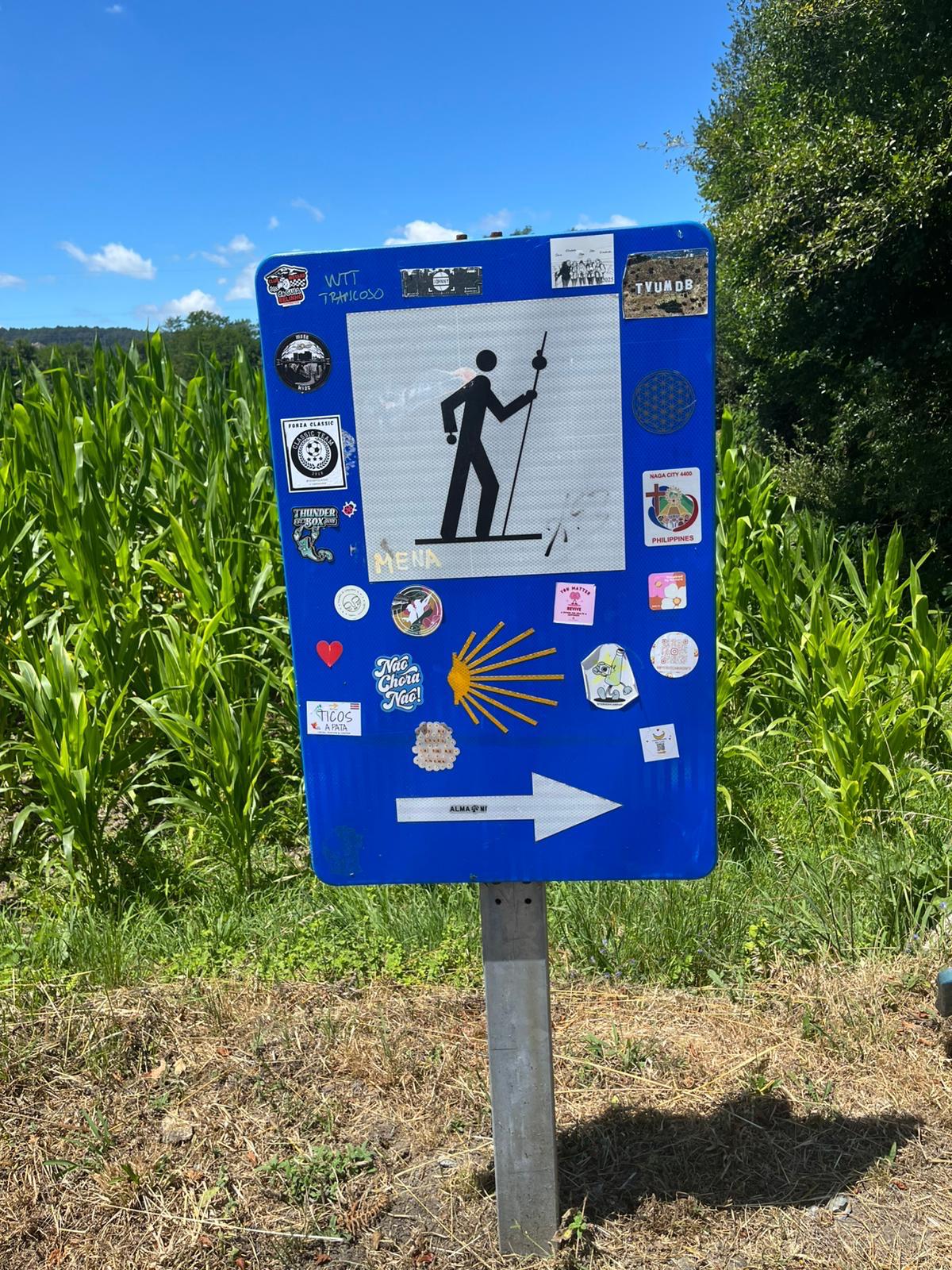 Camino de Santiago 2